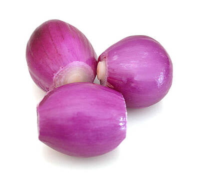 Small Onion
