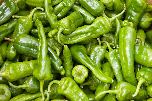 Fresh Green Chilli Fresh Green Chilli