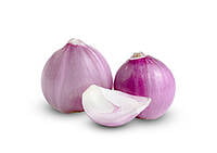 Small Onion Small Onion