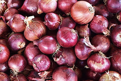 Big Onion