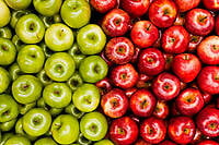 Apple Apple