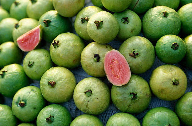 Fresh Guava Fresh Guava