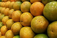 Orange Orange