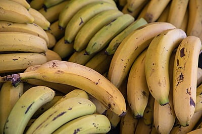 Cavendish Banana