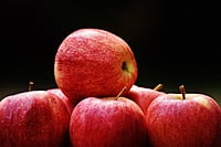 Apple Apple